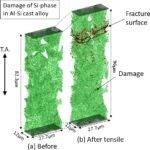 放射光ナノCTの観察例