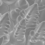 純銅鋳物におけるデンドライト