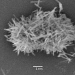 ホウ酸アルミニウムナノウイスカーのSEM写真