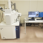 走査型電子顕微鏡